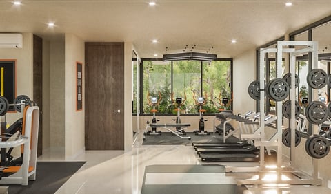 Modern home gym interior with equipment including treadmills, weight racks, and dumbbells near large windows