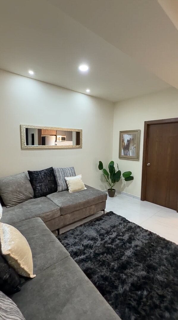 Sala de London Cantera: sala moderna con sofá seccional gris en forma de L, tapete negro, espejo decorativo, planta de interior y luces empotradas en el techo