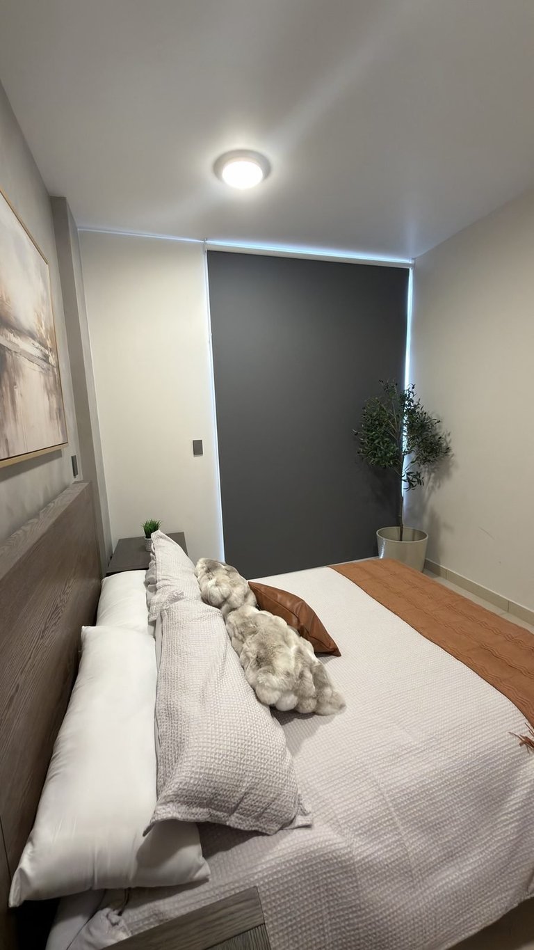 Modern minimalist bedroom with white bedding, decorative pillows, recessed ceiling light, and potted plant against dark accent wall