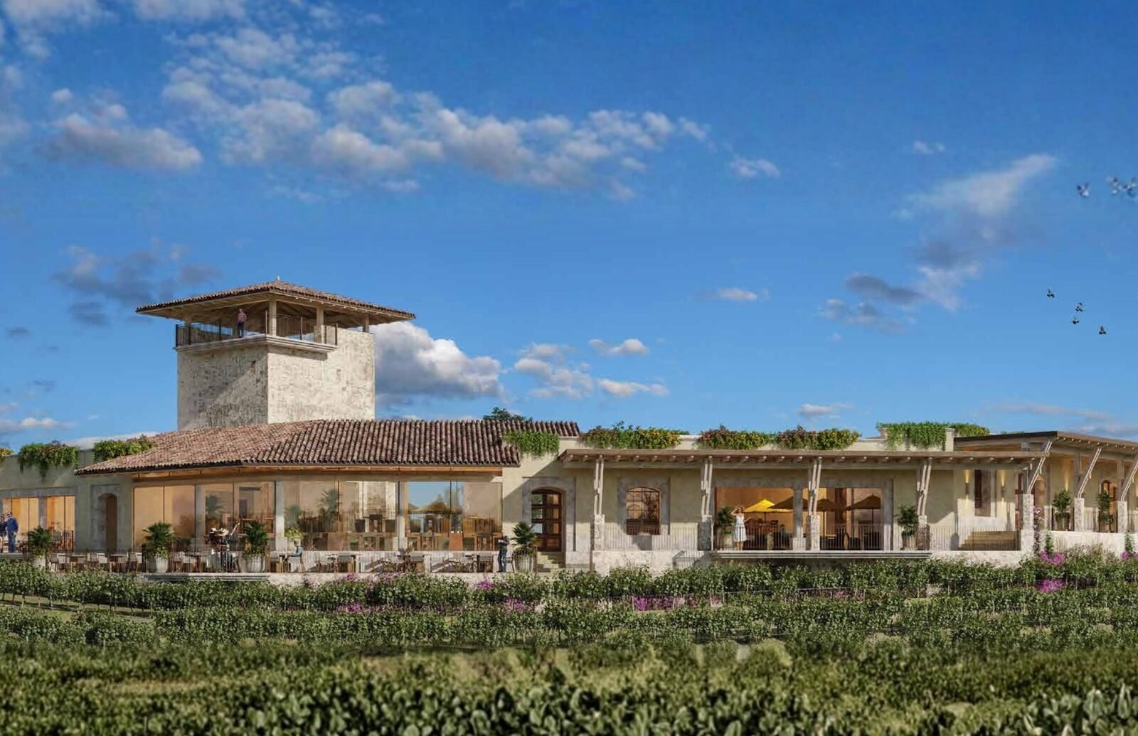Casa club de Valle de los Encinos rodeada de viñedos